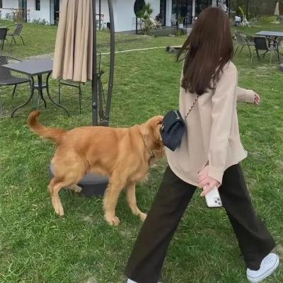 鸣龙少年