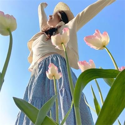 乃木坂春香的秘密